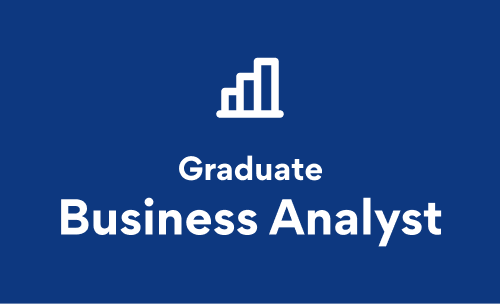 Graduate Business Analyst image