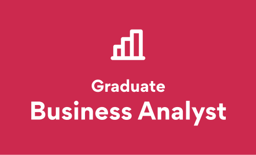 Graduate Business Analyst image