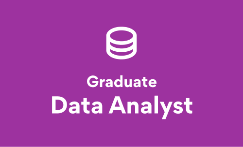 Graduate Data Analyst image